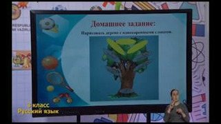 Русский язык 3 класс РУС (102)