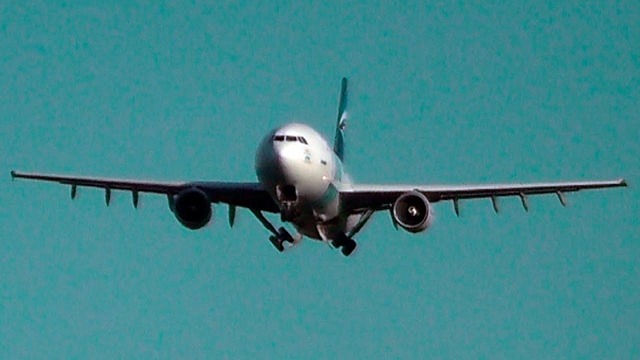 Airbus A300 Выпустил Шасси Перед Полосой. Аэропорт Домодедово