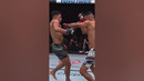Rob Font Would NOT STOP Until the Knockout