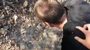 Болезненный прыжок с тарзанки