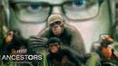 Kuplinov Play ► НАЧАЛЬНИК СТАИ ► Ancestors The Humankind Odyssey #3