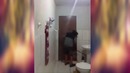 Решил я как-то с котом крысу поймать
