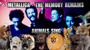Metallica – Memory Remains (Animal Cover)