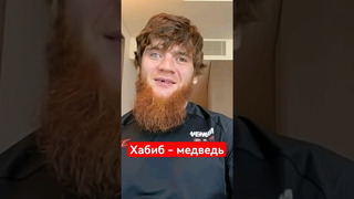 Шара Буллет о желании побороться с Хабибом: ЗАЛОМАЕТ МЕНЯ СЕЙЧАС #shorts