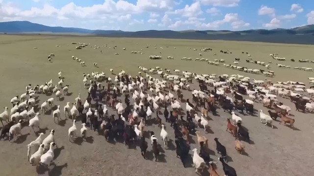 Президент қарори ижроси амалда