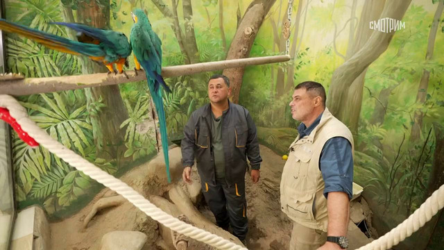 Ташкентский зоопарк – 7 выпуск | 2023