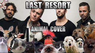 Papa Roach – last Resort (Animal Cover)