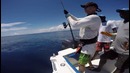 Emeraude Fishing – Popping & Jigging – X-trem – Season 2016