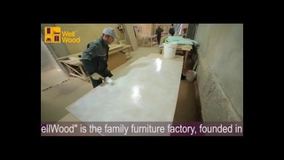 Презентационный ролик о фабрике WellWood (2016)