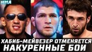 Возвращение забита в октагон. хабиб vs мейвезер – отбой. турнир по накуренном
