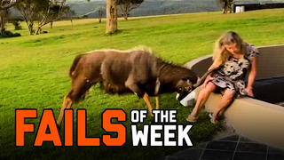 Back To Nature | Fails of the Week (February 2020)