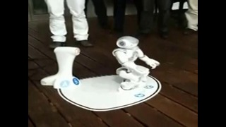Самоподзаряжающийся робот