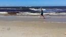 5 сумасшедших атак кабана, снятых на камеру