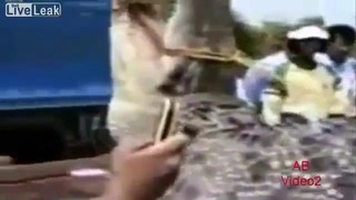 На Филиппинах поймали большого крокодила