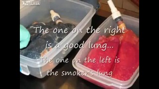 Реальные легкие курильщика