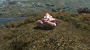 Skyrim Zoidberg Mod
