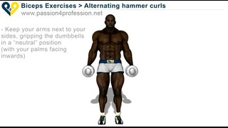 Alternating hammer curls (standing with dumbbells)