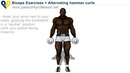 Alternating hammer curls (standing with dumbbells)