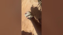 Terrifying Action Cam Fails