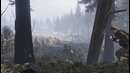 TANNENBERG – Official Reveal Trailer (New World War 1 Game 2017)