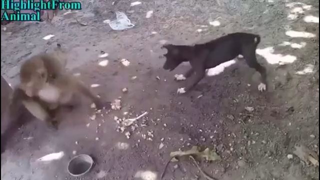 Ударга карела кулуриб ичим котиб колди