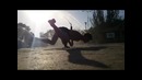 Dance on Beton