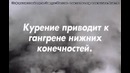 Научный фильм «Правда о табаке и как бросить курить»