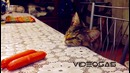 Так близко и так далеко