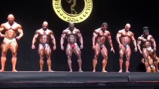 2014 IFBB Arnold Brazil Mens 1st Callout