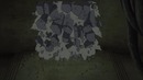 Amv History Obita