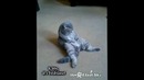 Котя, пора спать!:)