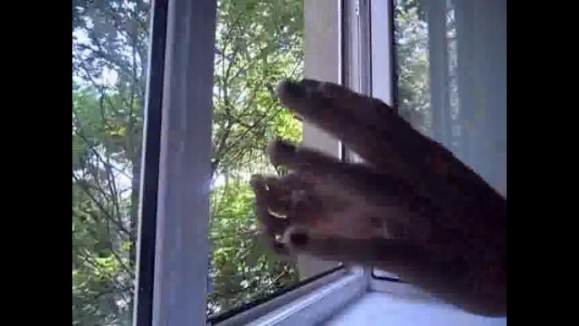 Зажигаем спички о воздух. Так должен уметь каждый)