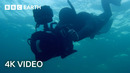 Getting Scarily Close to Feeding Fin Whales | North Atlantic: The Dark Ocean | 4K UHD | BBC Earth