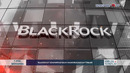 BlackRock” kompaniyasi bilan hamkorlik kuchaytiriladi