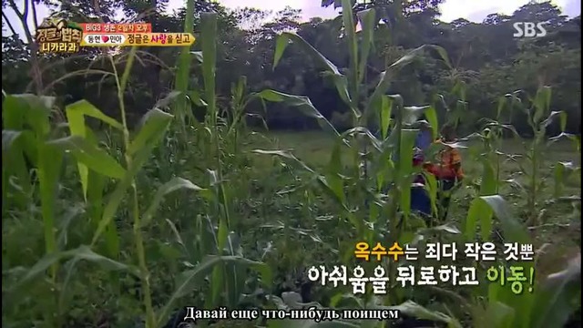 Law of the Jungle in Nicaragua – Episode 5 (182)