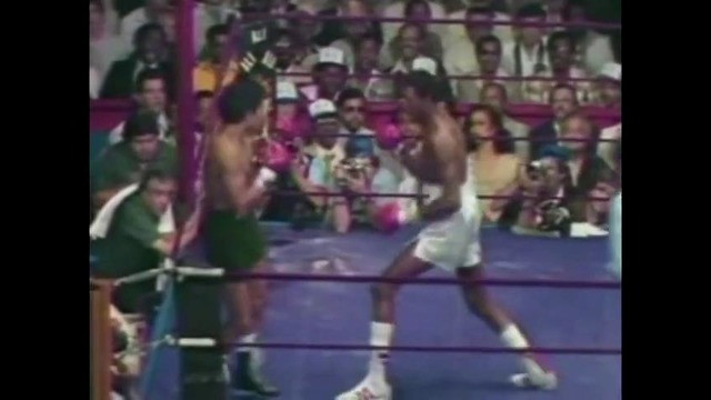 Thomas «The Hitman» Hearns boxing highlights