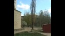 ЕЩЕ ОДИН ВАЙН Когда попал во FriendZone