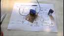 Альтернативная энергетикаБесплатное электричество Самозапитывающаяся схема