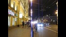 Сбежавшая лошадь
