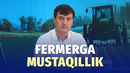 Xohlagan ekinni ekish mumkin” – Yangi tartib fermerga nima beradi
