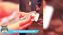 Лучшие приколы 2018 июнь — наденьте бахилы