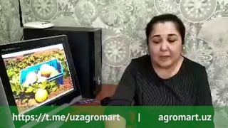 Agromart.uz | Саодат Дусмуратова | Консультациялар