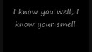 Goodbye My Lover – James Blunt with lyrics
