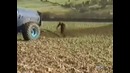 Тяжело быть трактористом