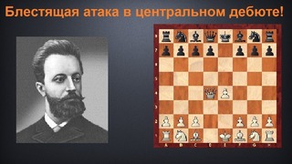 Шахматы. Блестящая партия Михаила Чигорина в центральном дебюте