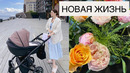 ВЛОГ: НОВАЯ ЖИЗНЬ
