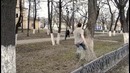 Parkour and Freerunning 2014 – Take Flight