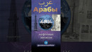 Сила Арабов #арабы #нефть #сша