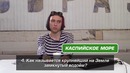 Ютуберы Отвечают на Школьные Вопросы (Сложно)