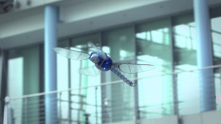 BionicOpter extern HD720p